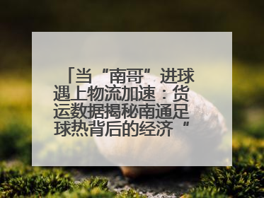 当“南哥”进球遇上物流加速：货运数据揭秘南通足球热背后的经济“射门”