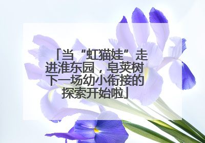 当“虹猫娃”走进淮东园，皂荚树下一场幼小衔接的探索开始啦