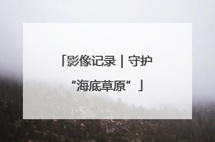 影像记录｜守护“海底草原”