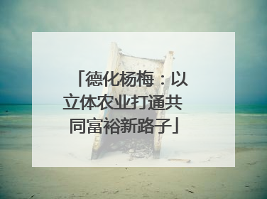 德化杨梅：以立体农业打通共同富裕新路子