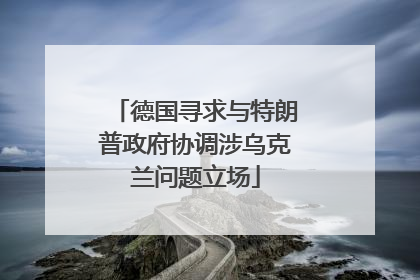 德国寻求与特朗普政府协调涉乌克兰问题立场
