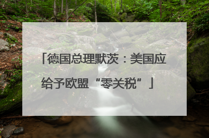 德国总理默茨：美国应给予欧盟“零关税”