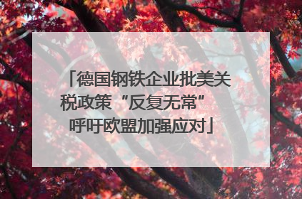 德国钢铁企业批美关税政策“反复无常” 呼吁欧盟加强应对