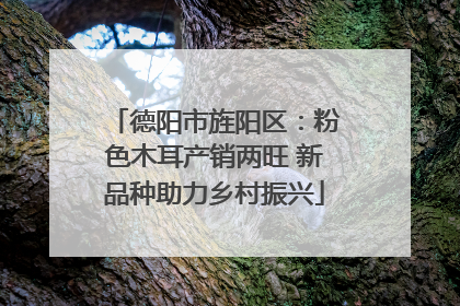 德阳市旌阳区：粉色木耳产销两旺 新品种助力乡村振兴