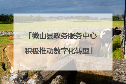 微山县政务服务中心积极推动数字化转型