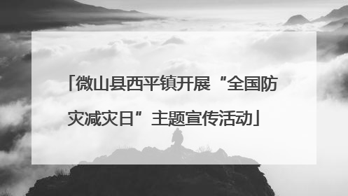 微山县西平镇开展“全国防灾减灾日”主题宣传活动