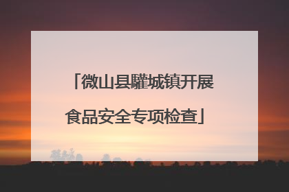 微山县驩城镇开展食品安全专项检查