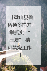 微山县鲁桥镇多措并举抓实 “三夏” 秸秆禁烧工作