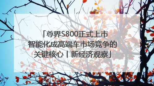 尊界S800正式上市 智能化成高端车市场竞争的关键核心丨新经济观察