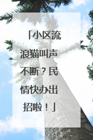 小区流浪猫叫声不断？民情快办出招啦！