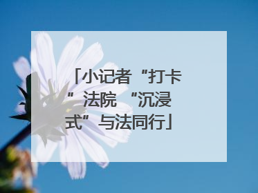 小记者“打卡”法院 “沉浸式”与法同行