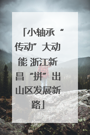 小轴承“传动”大动能 浙江新昌“拼”出山区发展新路