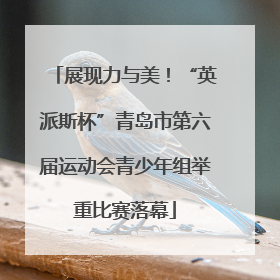 展现力与美！“英派斯杯”青岛市第六届运动会青少年组举重比赛落幕
