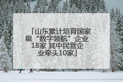 山东累计培育国家级“数字领航”企业18家 其中民营企业牵头10家