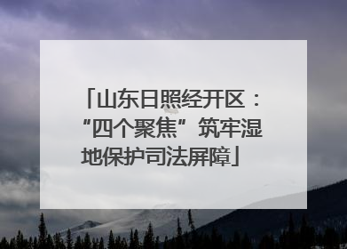 山东日照经开区：“四个聚焦”筑牢湿地保护司法屏障