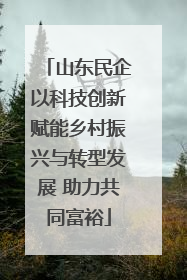 山东民企以科技创新赋能乡村振兴与转型发展 助力共同富裕