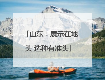 山东：展示在地头 选种有准头