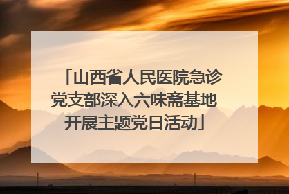 山西省人民医院急诊党支部深入六味斋基地开展主题党日活动