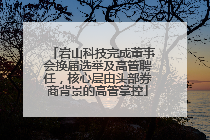 岩山科技完成董事会换届选举及高管聘任，核心层由头部券商背景的高管掌控