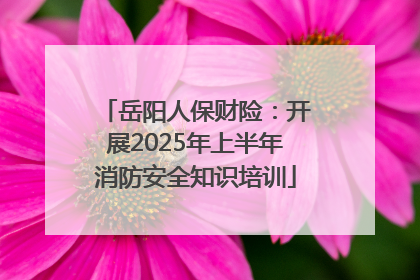 岳阳人保财险：开展2025年上半年消防安全知识培训