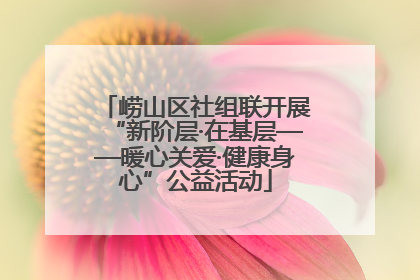 崂山区社组联开展“新阶层·在基层——暖心关爱·健康身心”公益活动