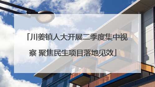 川姜镇人大开展二季度集中视察 聚焦民生项目落地见效