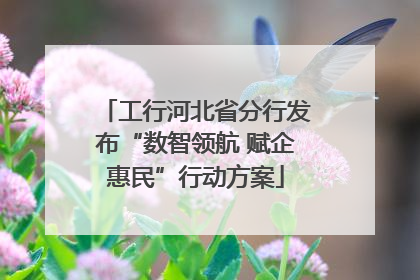 工行河北省分行发布“数智领航 赋企惠民”行动方案