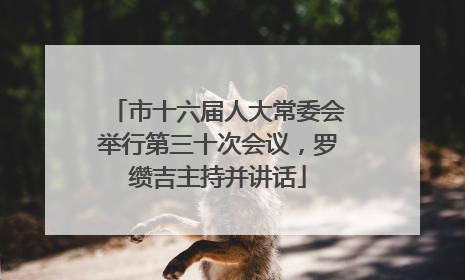 市十六届人大常委会举行第三十次会议，罗缵吉主持并讲话