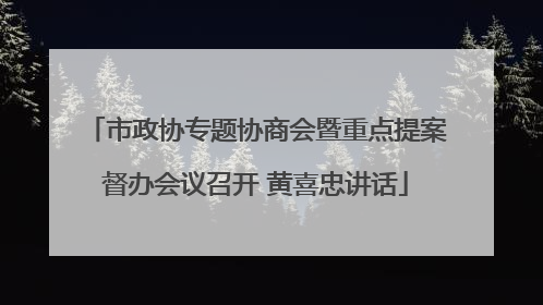 市政协专题协商会暨重点提案督办会议召开 黄喜忠讲话