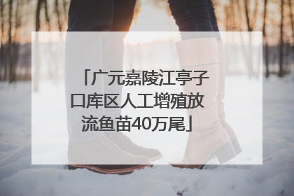 广元嘉陵江亭子口库区人工增殖放流鱼苗40万尾