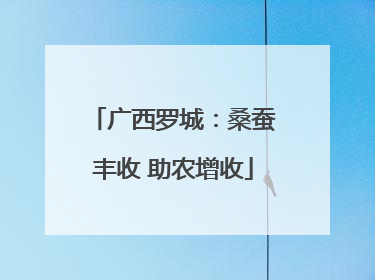 广西罗城：桑蚕丰收 助农增收
