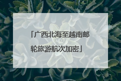广西北海至越南邮轮旅游航次加密