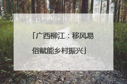 广西柳江：移风易俗赋能乡村振兴