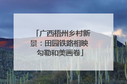 广西梧州乡村新景：田园铁路相映 勾勒和美画卷