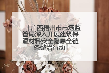 广西梧州市市场监管局深入开展建筑保温材料安全隐患全链条整治行动