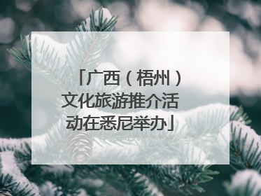广西（梧州）文化旅游推介活动在悉尼举办