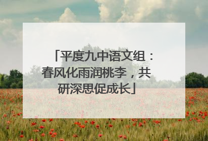平度九中语文组：春风化雨润桃李，共研深思促成长