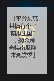 平谷东高村镇有个“南瓜王国”，30余种奇特南瓜迎来观赏季