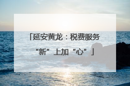 延安黄龙：税费服务“新”上加“心”