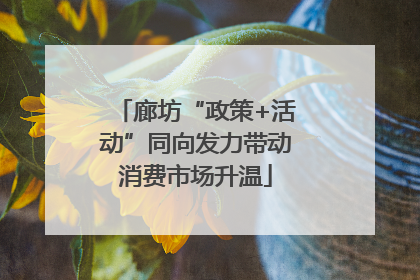 廊坊“政策+活动”同向发力带动消费市场升温
