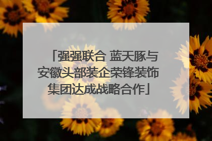 强强联合 蓝天豚与安徽头部装企荣锋装饰集团达成战略合作