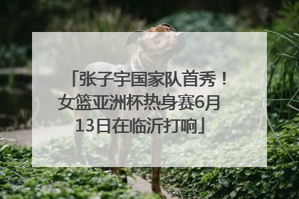 张子宇国家队首秀！女篮亚洲杯热身赛6月13日在临沂打响