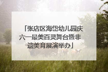 张店区海岱幼儿园庆六一最美百灵舞台暨非遗美育展演举办