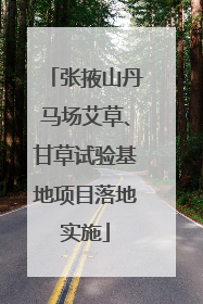 张掖山丹马场艾草、甘草试验基地项目落地实施