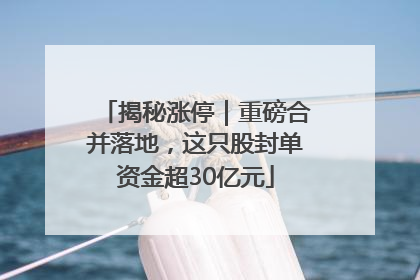 揭秘涨停｜重磅合并落地，这只股封单资金超30亿元