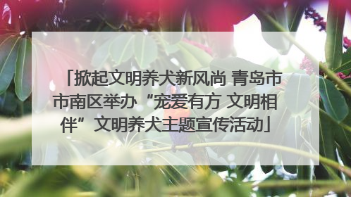 掀起文明养犬新风尚 青岛市市南区举办“宠爱有方 文明相伴”文明养犬主题宣传活动