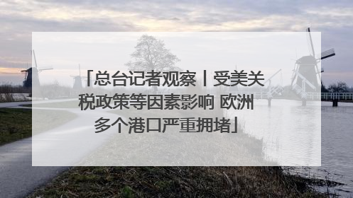 总台记者观察丨受美关税政策等因素影响 欧洲多个港口严重拥堵