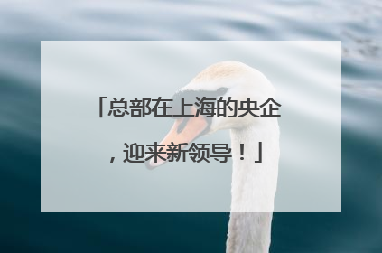 总部在上海的央企，迎来新领导！