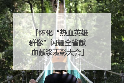 怀化“热血英雄群像”闪耀全省献血献浆表彰大会