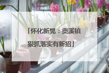 怀化新晃：贡溪镇狠抓落实有新招